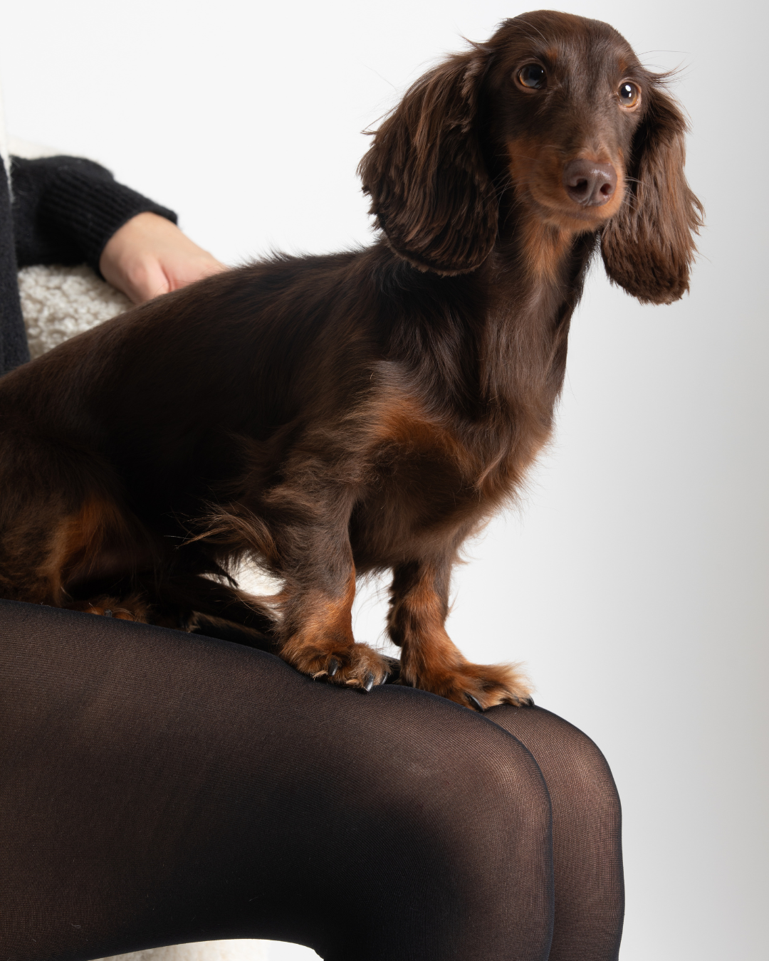 Collants Ultra-résistants 40 deniers