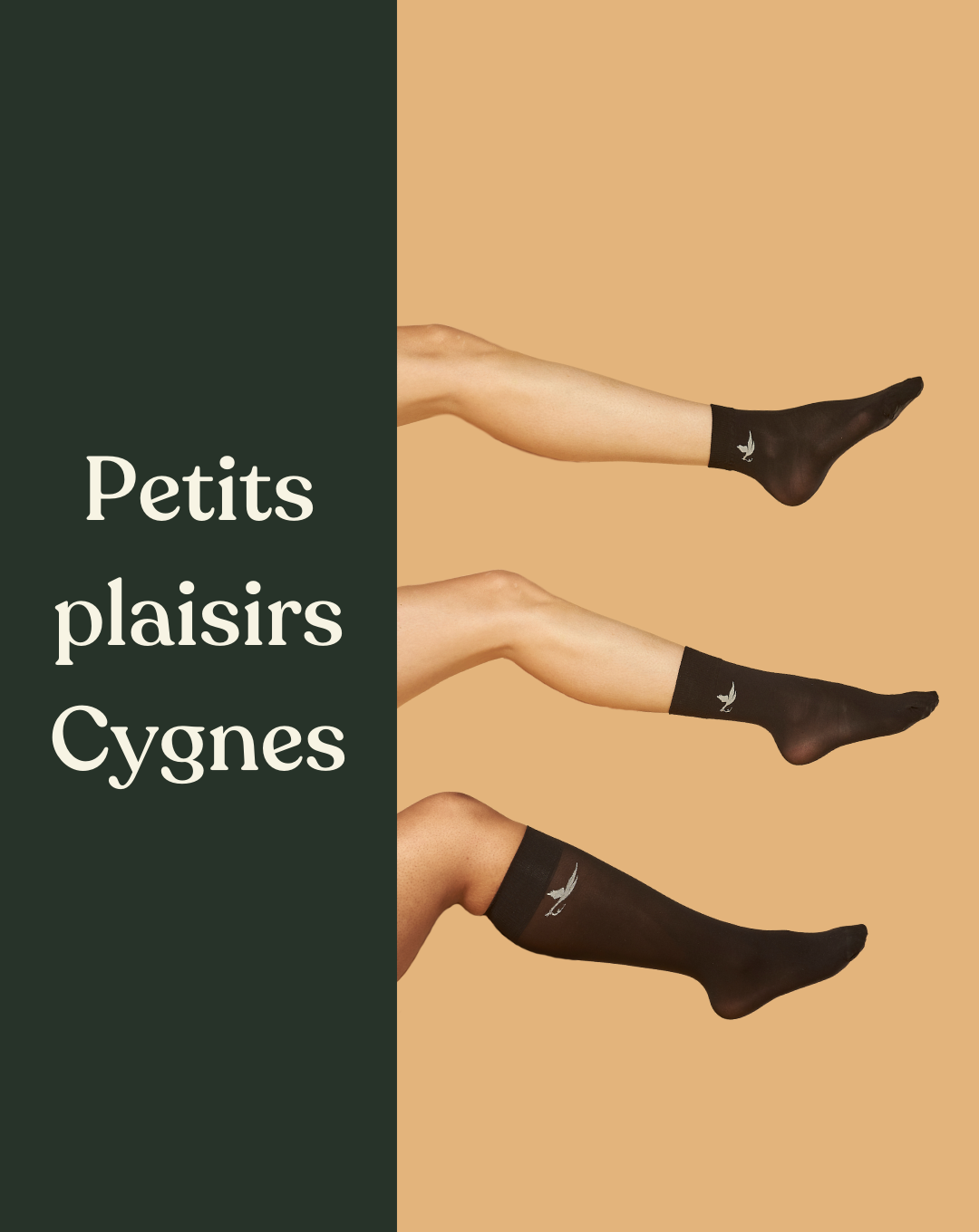 Coffret Chaussettes